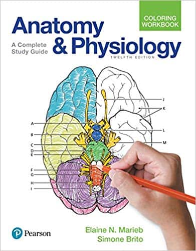 Anatomy and physiology coloring workbook a complete study guide 12e